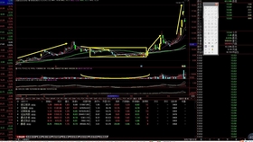 一肖平碼王中王，揭秘彩票背后的秘密與策略，揭秘彩票背后的秘密與策略，一肖平碼王中王解析