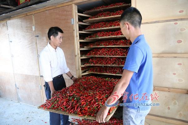 王中王王中王免費資料大全一，深度解析與探索，王中王王中王資料大全深度解析與探索一