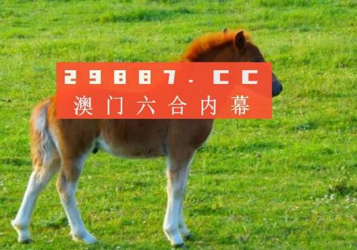 新澳門一肖一碼中恃，揭秘彩票背后的秘密與策略，揭秘新澳門彩票背后的秘密與策略，一肖一碼中的玄機(jī)