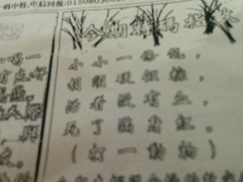劉伯溫平特一肖2019，傳奇人物的神秘預(yù)測與生肖運勢解析，劉伯溫生肖預(yù)測揭秘，傳奇人物的神秘預(yù)測與生肖運勢解析 2019版
