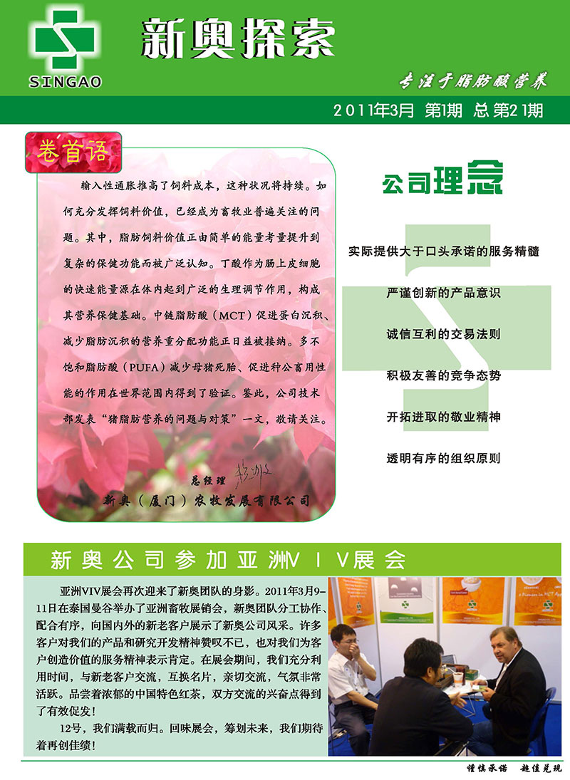 2025新澳正版資料精準解析，2025新澳正版資料精準解析手冊