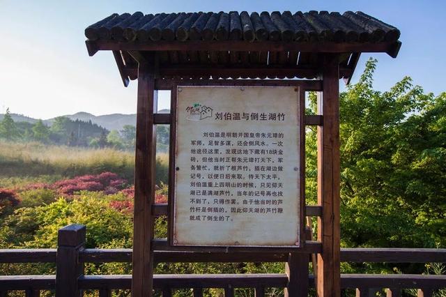 解密劉伯溫期期準(zhǔn)選一肖橘的傳奇，劉伯溫期期解密，揭秘傳奇般的精準(zhǔn)預(yù)測生肖橘之路