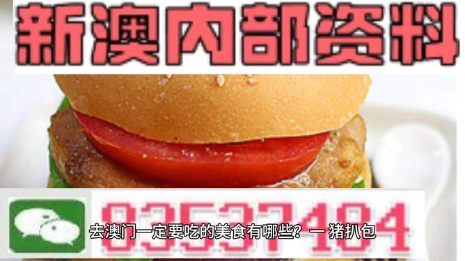新門內(nèi)部精準(zhǔn)資料免費(fèi)，探索與揭秘，新門內(nèi)部精準(zhǔn)資料大揭秘，免費(fèi)探索與揭秘