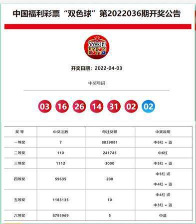 新澳開獎結(jié)果資料查詢在合肥，全面解析與實用指南，合肥新澳開獎結(jié)果資料查詢解析與實用指南