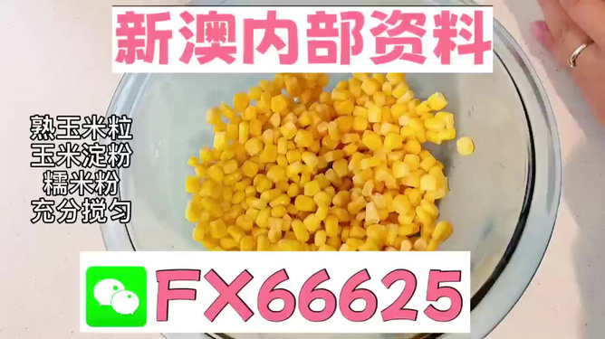 新澳一碼料，深度解析與SEO優(yōu)化策略，新澳一碼料深度解析與SEO優(yōu)化策略指南