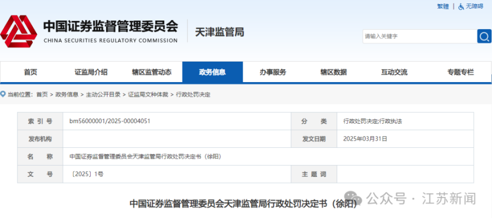2025新澳正版資料精準解析，2025新澳正版資料精準解析手冊