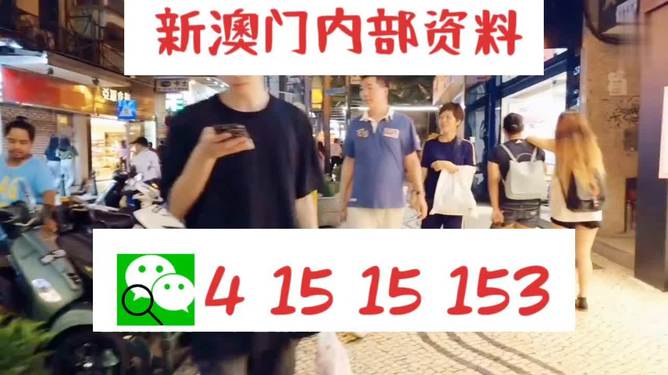 新澳門精準(zhǔn)24個碼，探索與解析，新澳門精準(zhǔn)24個碼深度解析與探索