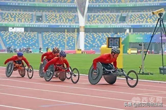 探索澳門(mén)未來(lái)，2025新澳門(mén)正版免費(fèi)資本車展望，澳門(mén)未來(lái)展望，2025資本車正版免費(fèi)探索之旅