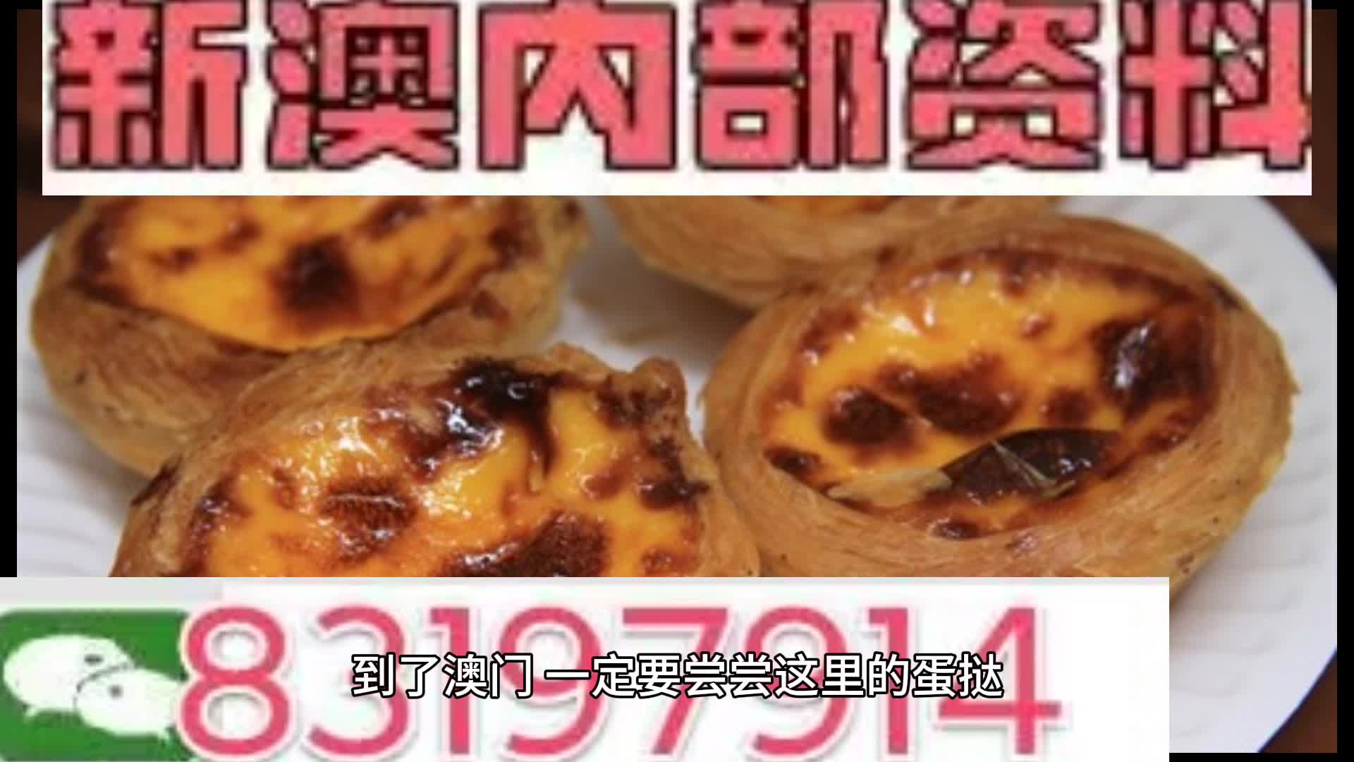 新澳門資料大全正版資料與奧利奧，探索與體驗，澳門正版資料與奧利奧，探索與體驗之旅
