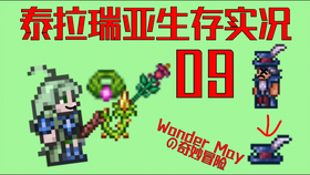 王中王019期指一生肖，揭秘生肖魅力與運勢預測，揭秘生肖魅力與運勢預測，王中王生肖揭曉（019期）