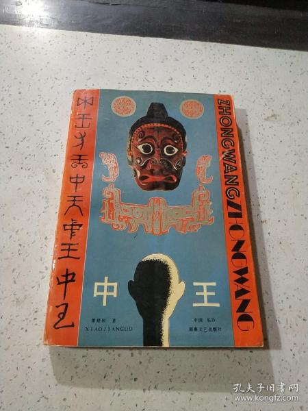 王中王資料一門肖中，深度解析與探索，王中王資料一門肖詳解，深度解析與探索
