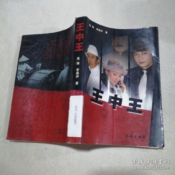 王王中王平特一肖，深度解析與SEO優(yōu)化策略，王王中王平特一肖深度解析與SEO優(yōu)化策略探討