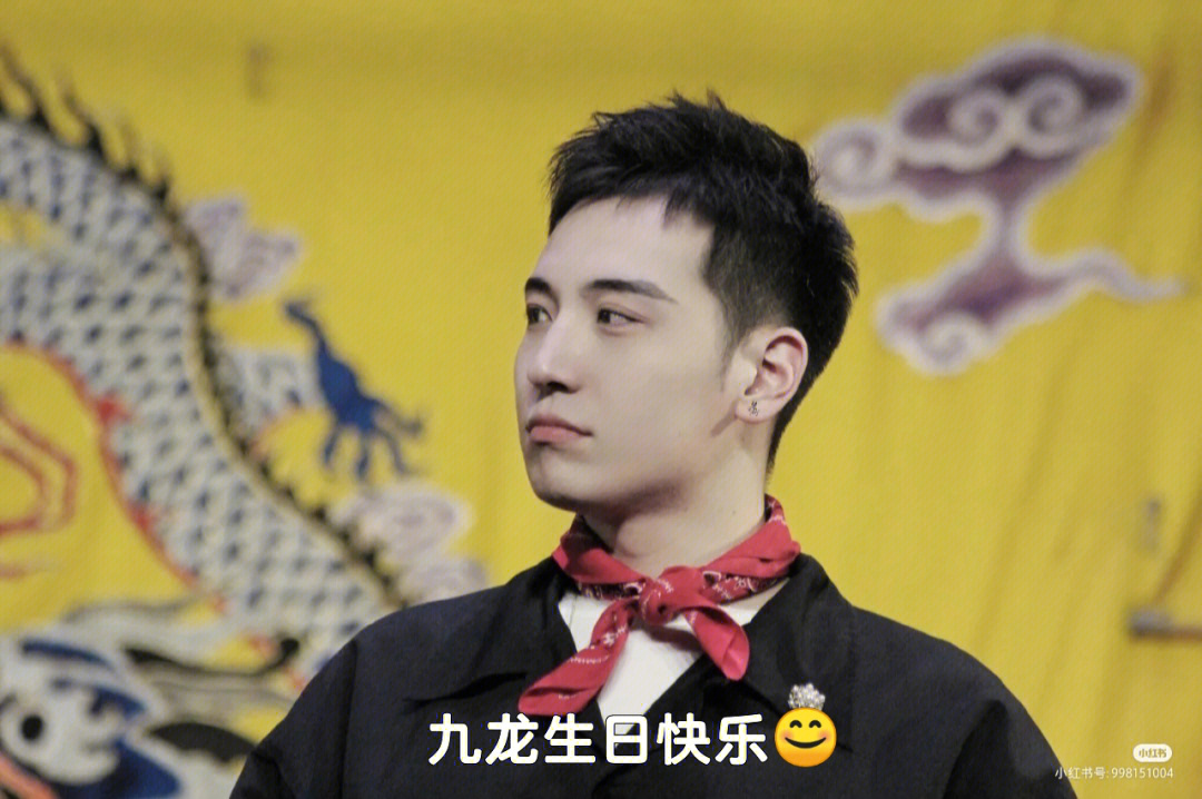王中王九龍心水一肖一嗎——深度解析，王中王九龍心水一肖深度解析
