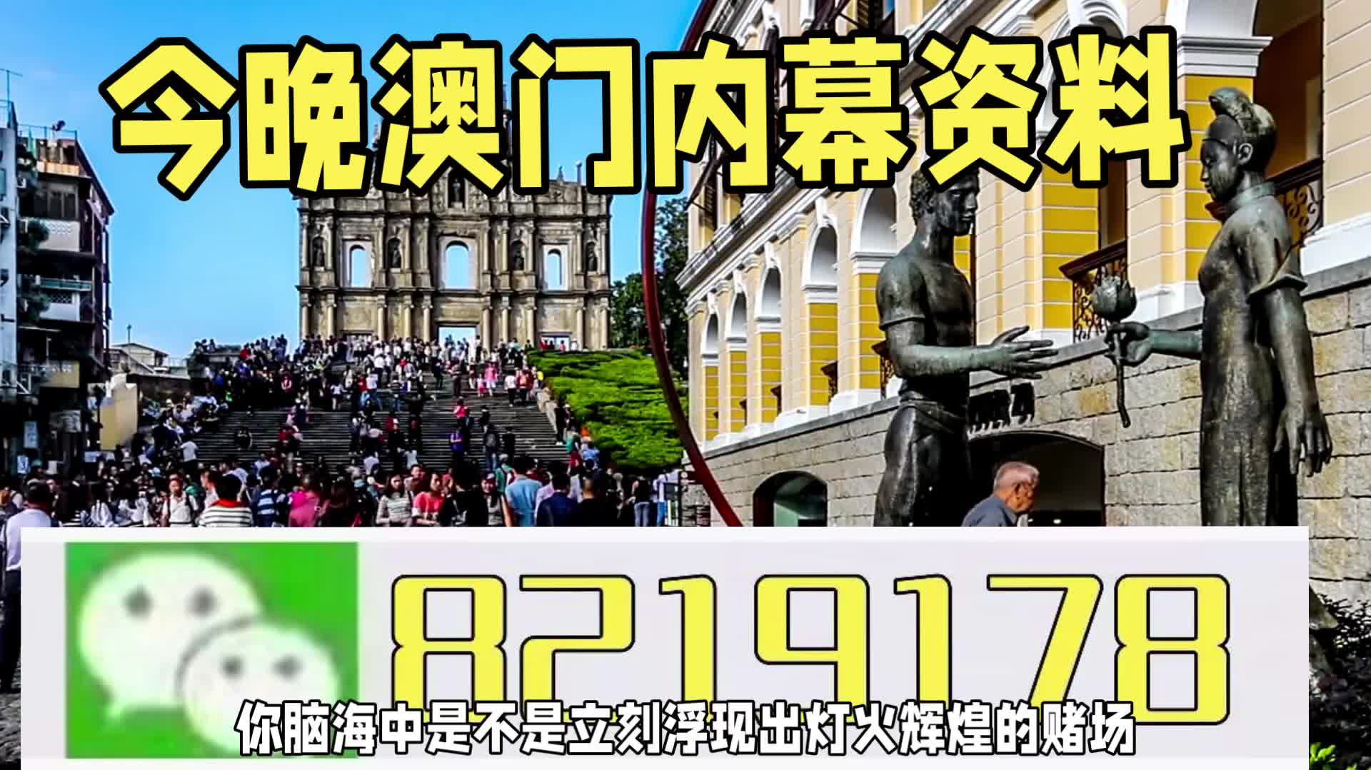 新澳門一肖一特一中，探索與解析，新澳門一肖一特一中，深度探索與解析