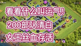 王中王146期指一生肖，深度解析與預(yù)測，王中王146期生肖深度解析與預(yù)測，揭秘生肖運勢走向